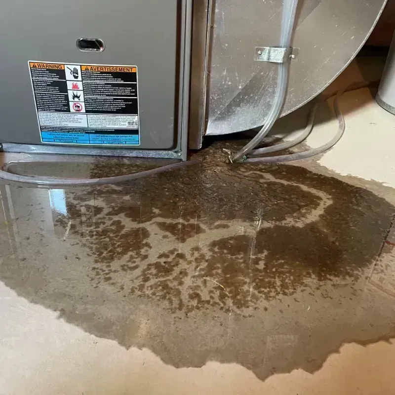 Appliance Leak Cleanup in Mexico Beach, FL